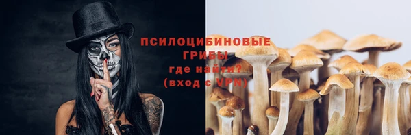 каннабис Нефтекумск