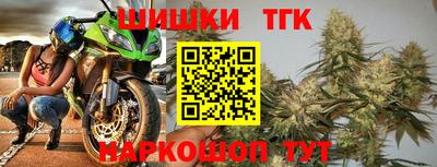 гашик Дубна