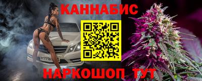 гашик Дубна
