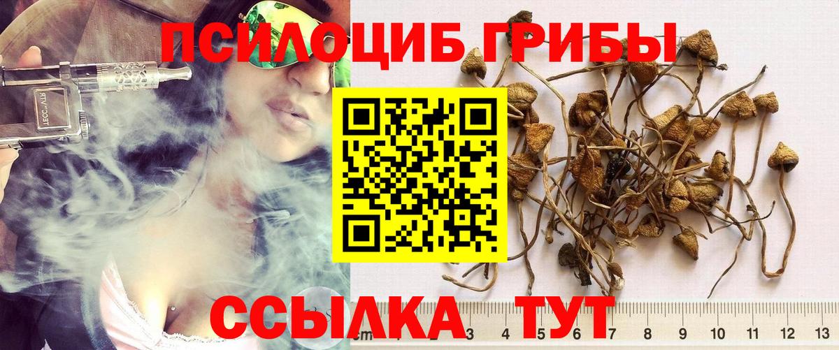 Галлюциногенные грибы мухоморы  Вход с VPN  Ливны 